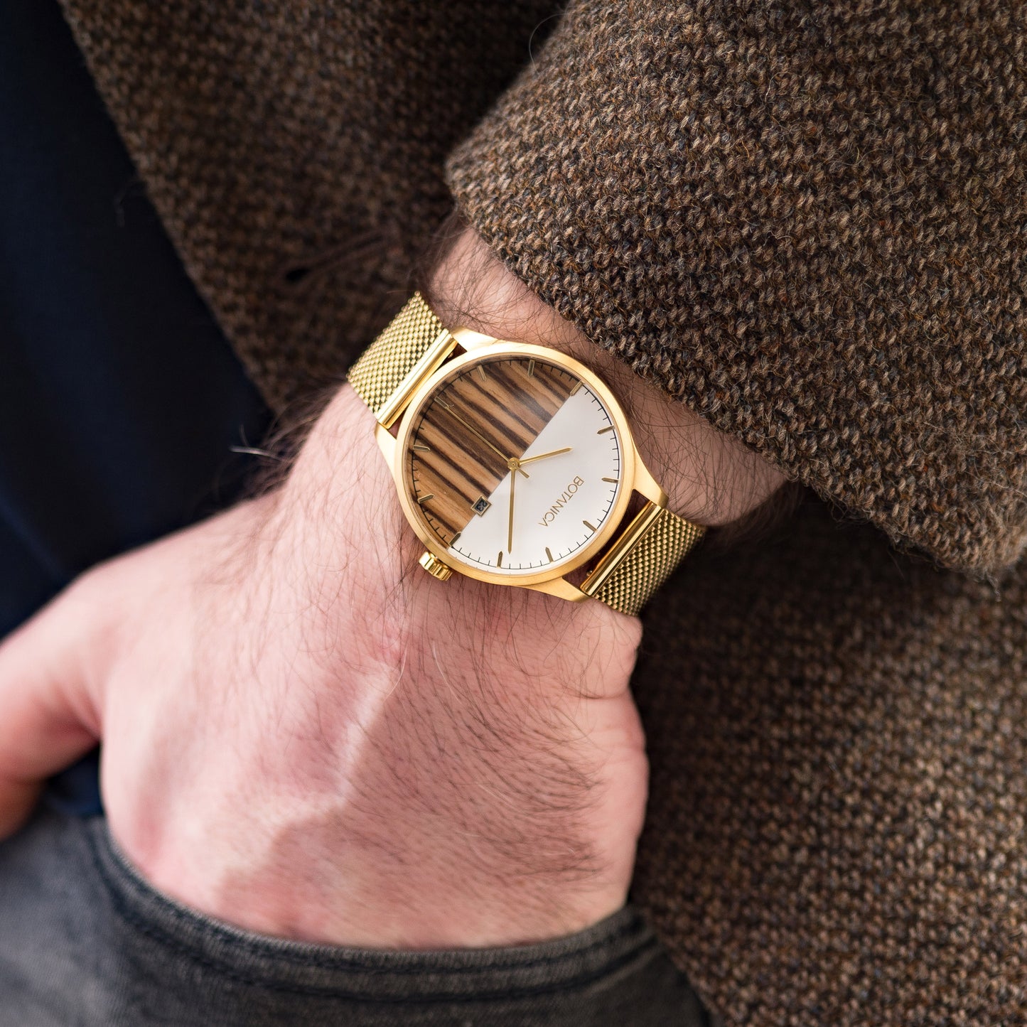 ODYSSEY | Steel Case Watch & Zebrawood Dial
