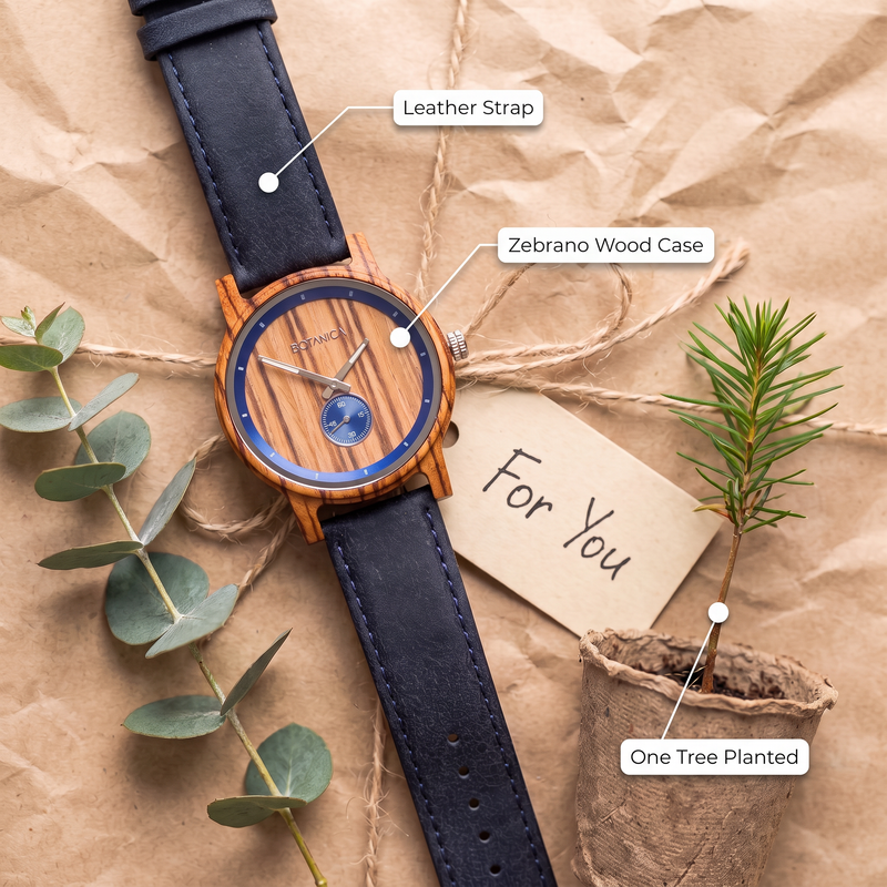 PLATO | Zebrawood Watch & Blue Dial
