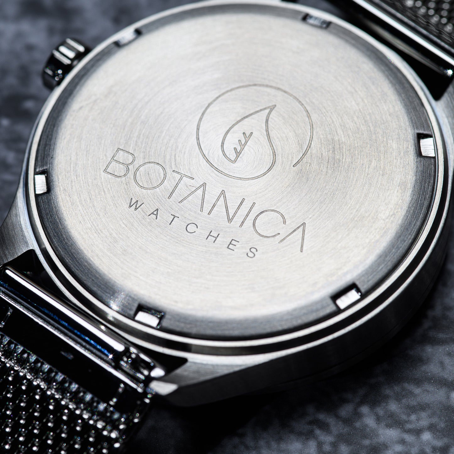 WANDERLUST | Steel Case Watch & Maple Dial