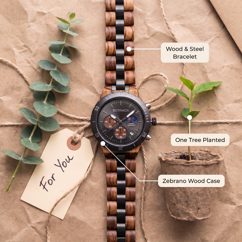 EUROPA | Zebrawood Watch & Black Dial |