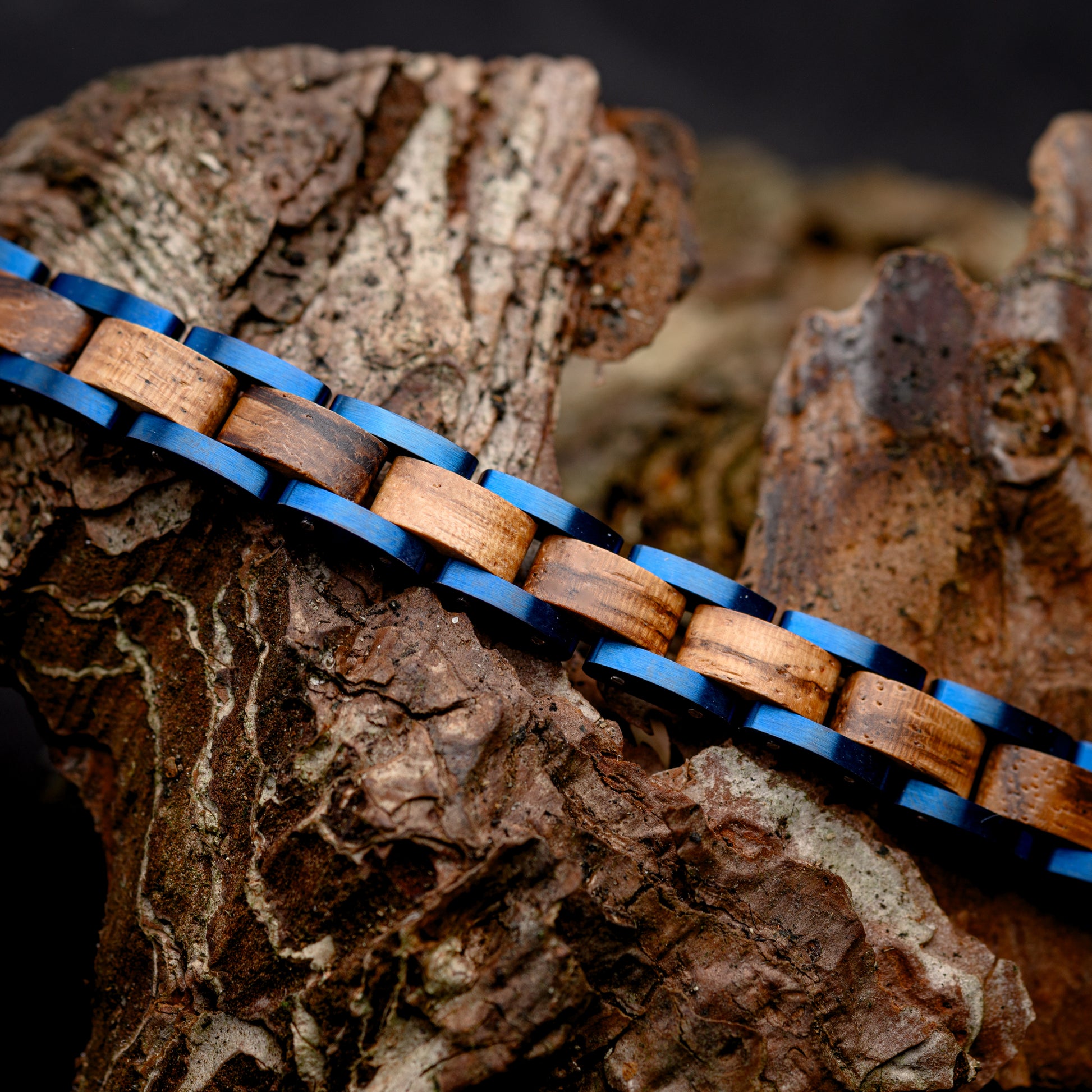 A Mens Zebrano wood and Blue Tungsten Steel link bracelet resting on drift wood 